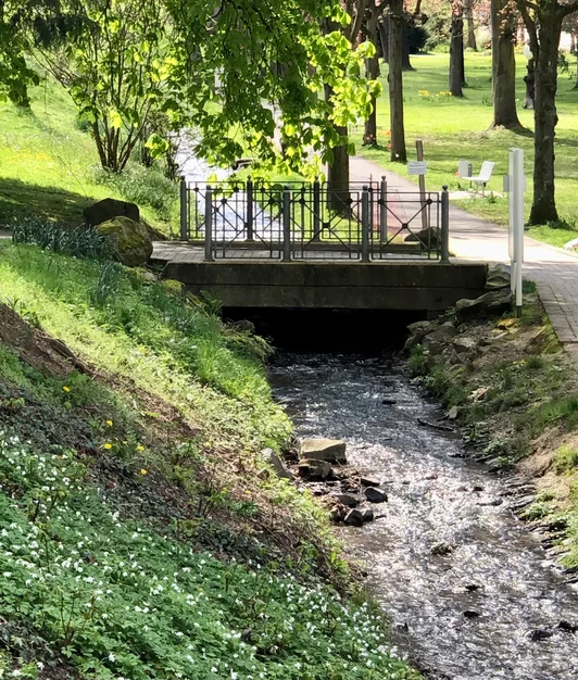 Führung durch den Welterbegarten