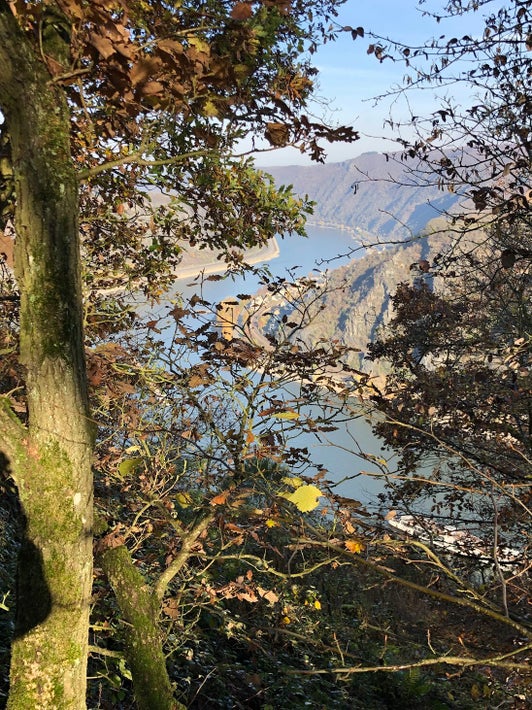 Rheinsteig Kestert - Filsen